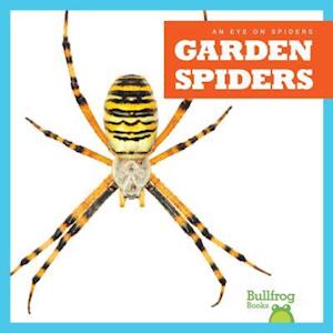 Garden Spiders