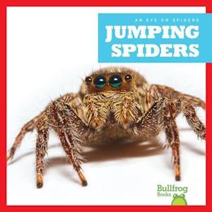 Jumping Spiders