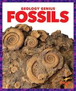 Fossils