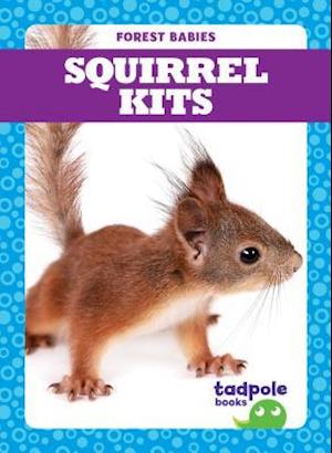 Squirrel Kits