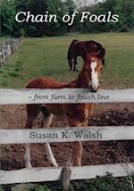 Chain of Foals: from farm to finish line 