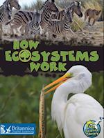 How Ecosystems Work