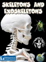 Skeletons and Exoskeletons