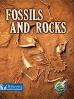 Fossils and Rocks