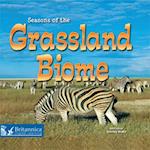 Seasons of the Grassland Biome