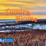 Seasons of the Tundra Biome