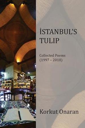 Istanbul's Tulip