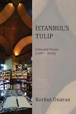 Istanbul's Tulip