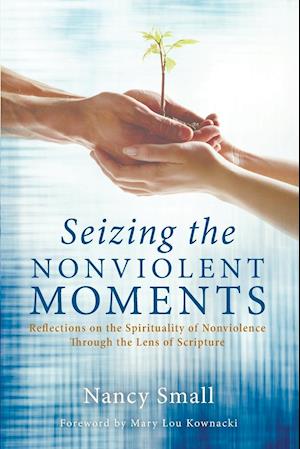 Seizing the Nonviolent Moments