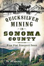 Quicksilver Mining in Sonoma County