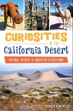 Curiosities of the California Desert