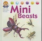 Mini Beasts