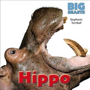 Hippo