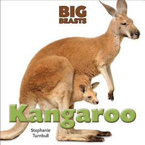 Kangaroo