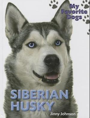 Siberian Husky