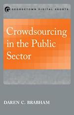 Crowdsourcing in the Public Sector