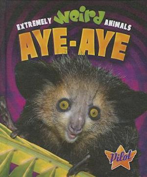 Aye-Aye