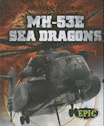 MH-53E Sea Dragons