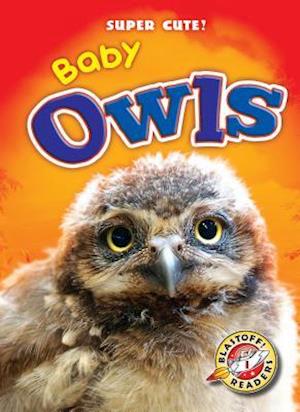 Baby Owls