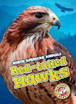 Red-Tailed Hawks