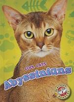 Abyssinians