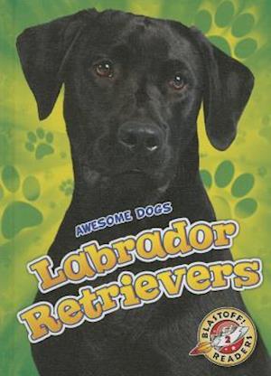 Labrador Retrievers