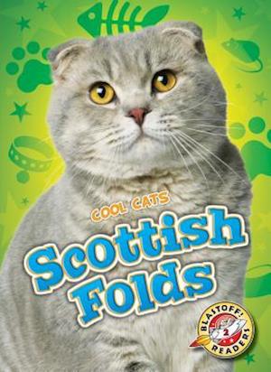 Scottish Folds