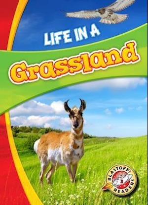 Life in a Grassland