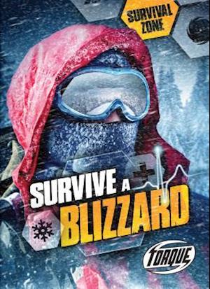 Survive a Blizzard