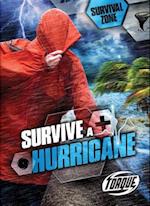 Survive a Hurricane