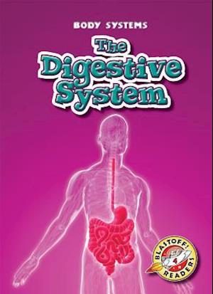 The Digestive System