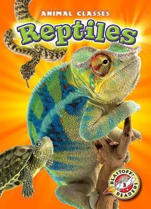 Reptiles