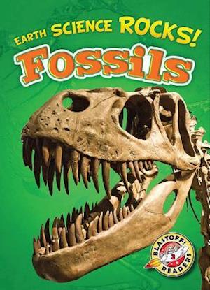 Fossils