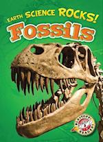 Fossils