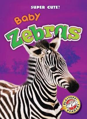 Baby Zebras