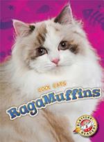 RagaMuffins
