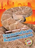 Diamondback Rattlesnakes