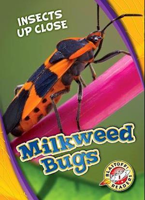 Milkweed Bugs