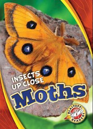 Moths