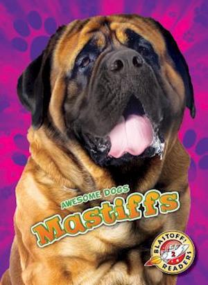 Mastiffs Mastiffs