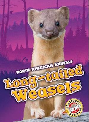 Long-Tailed Weasels