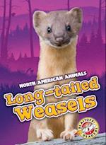 Long-Tailed Weasels