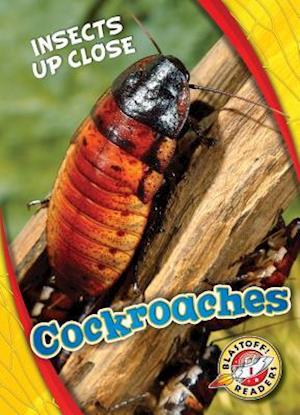 Cockroaches