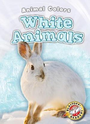 White Animals