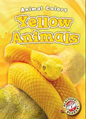 Yellow Animals