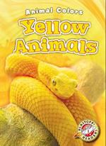 Yellow Animals