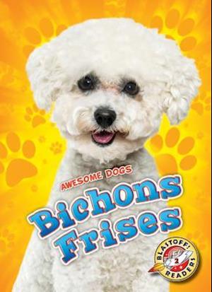 Bichons Frises