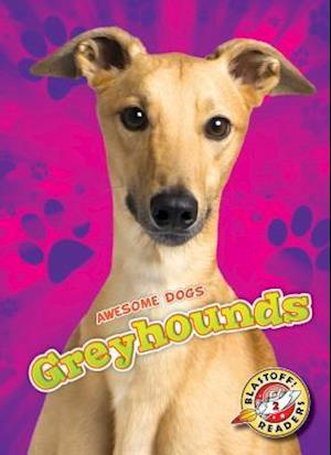 Greyhounds