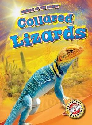 Collared Lizards