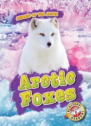 Arctic Foxes